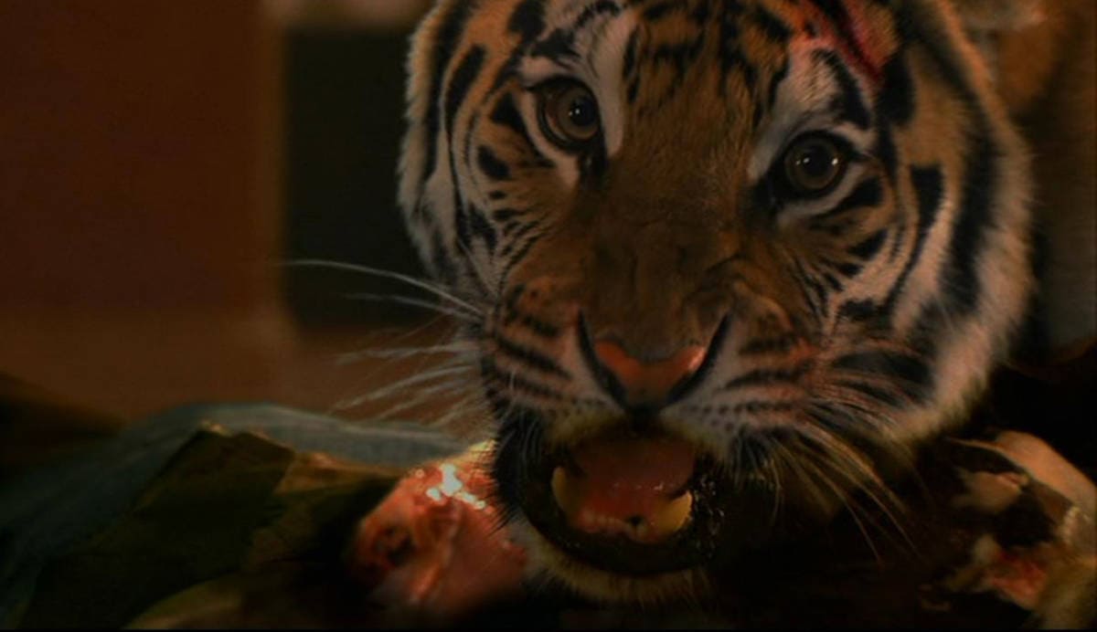 Burning Bright (2010) – Real Tiger Facts!